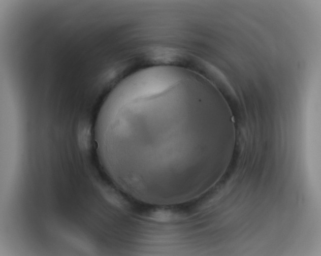 X0000115330596200911091247
