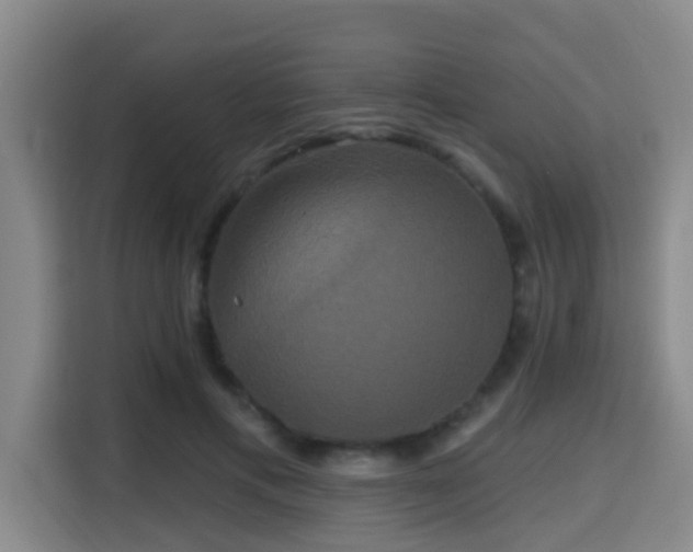 X0000115330597200911091247