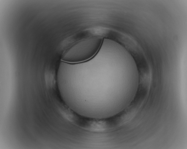 X0000115330599200911091246