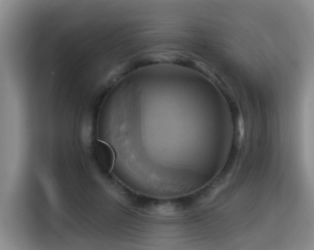 X0000115330600200911091246