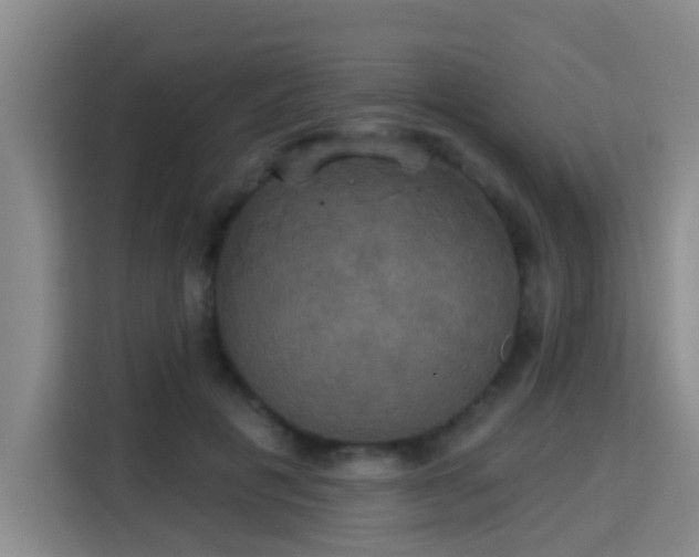 X0000115330601200911091246