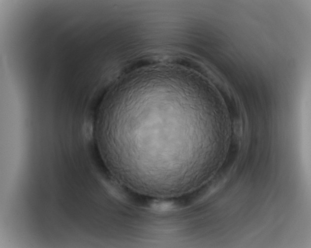 X0000115330602200911091246