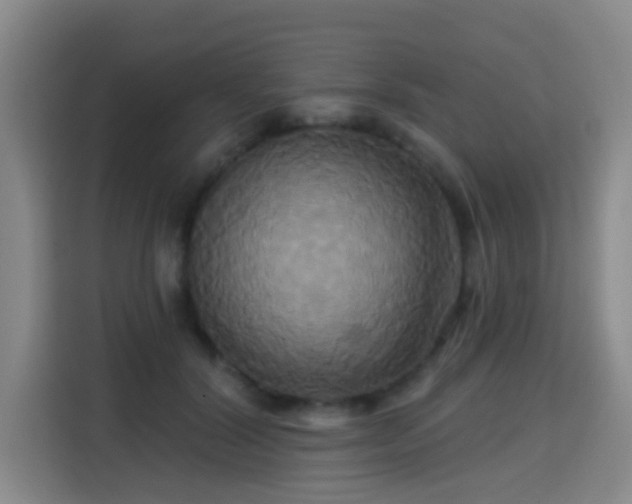 X0000115330604200911091246