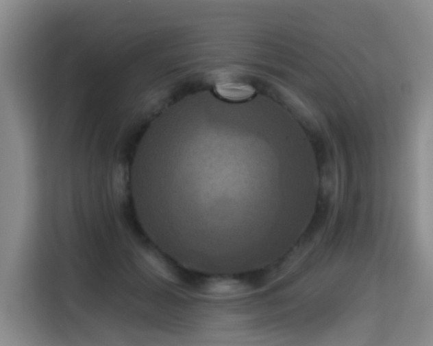 X0000115330605200911091246