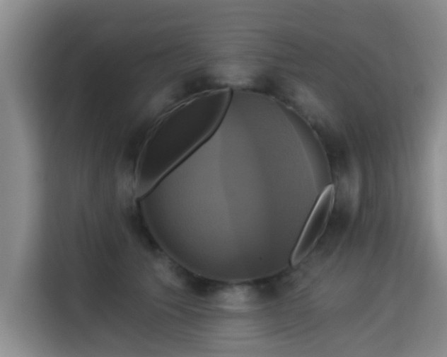 X0000115330609200911091246