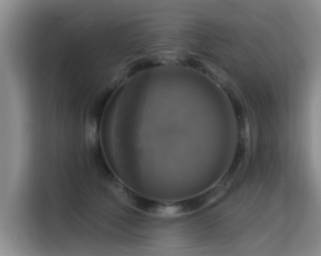 X0000115330610200911091246