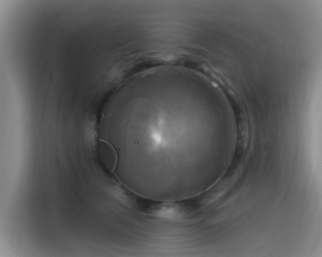 X0000115330612200911091246