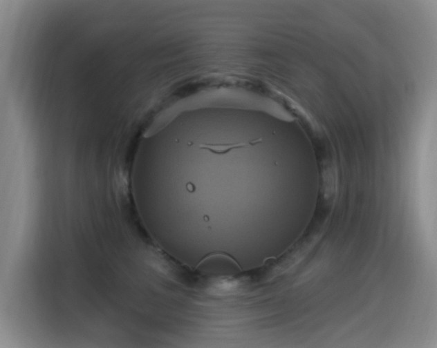 X0000115330613200911091246