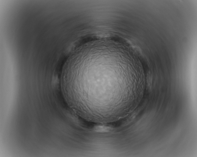 X0000115330614200911091246