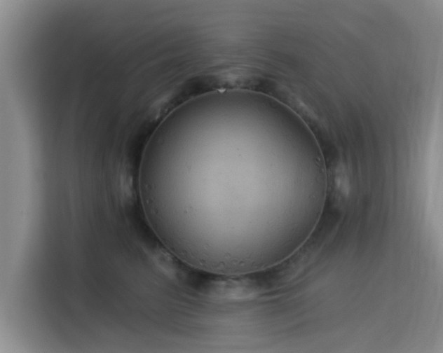 X0000115330615200911091246
