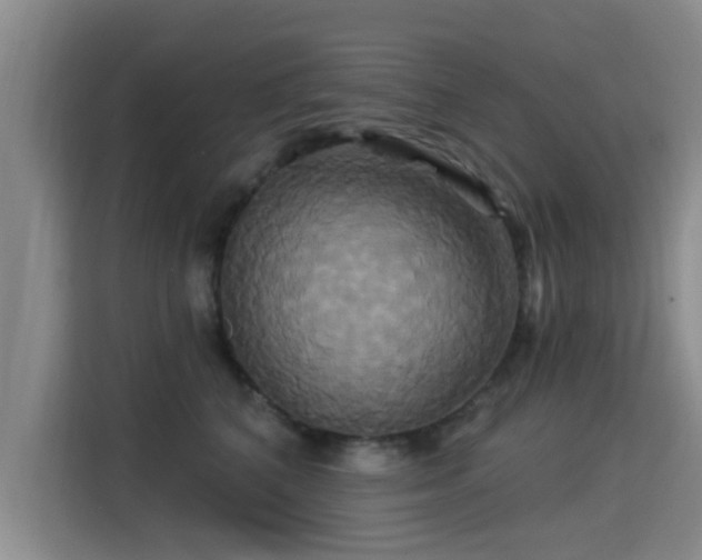 X0000115330616200911091246