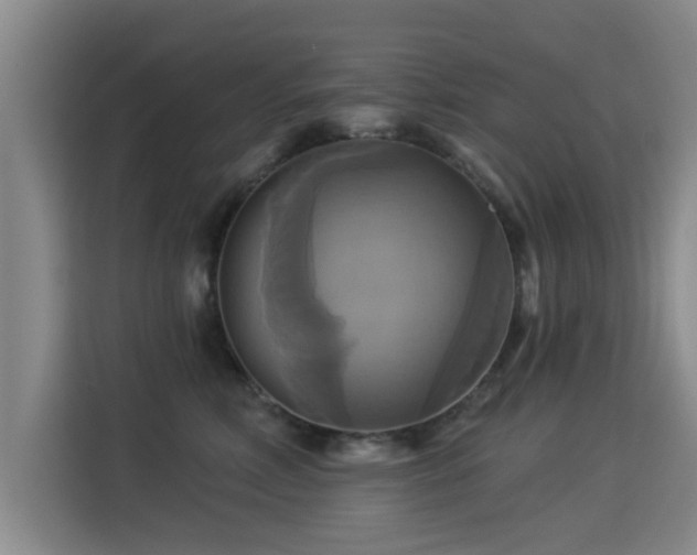 X0000115330618200911091246