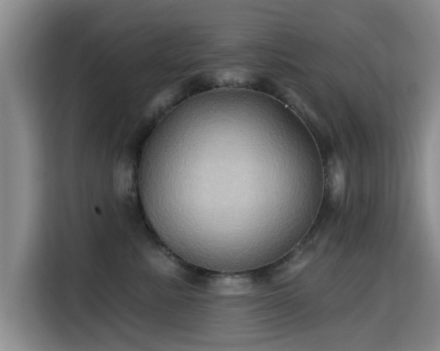 X0000115330619200911091246