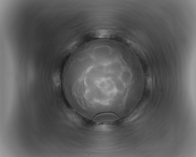 X0000115330620200911091246