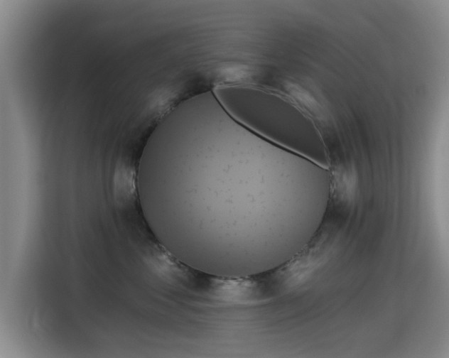 X0000115330621200911091246