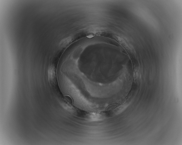 X0000115330623200911091246