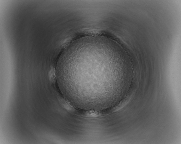 X0000115330624200911091246