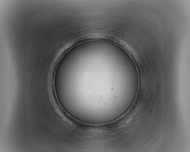 X0000115330625200911091246
