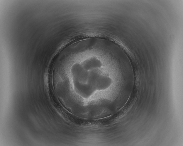 X0000115330626200911091246