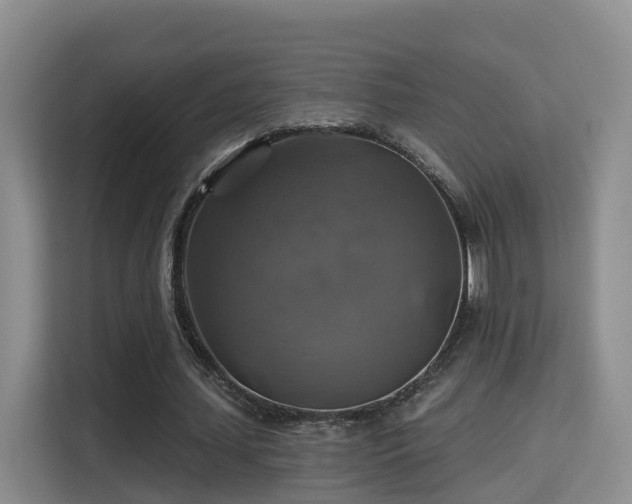 X0000115330627200911091246