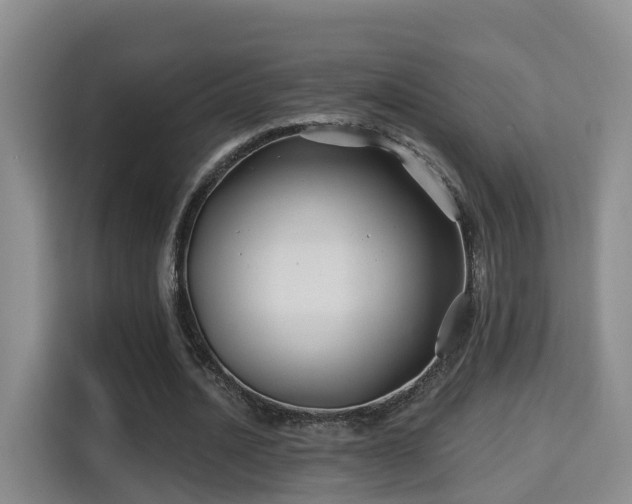 X0000115330628200911091246