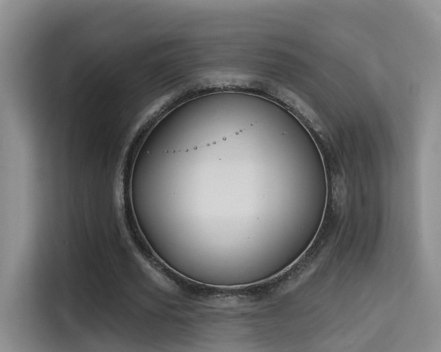 X0000115330629200911091246