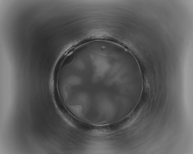 X0000115330630200911091246