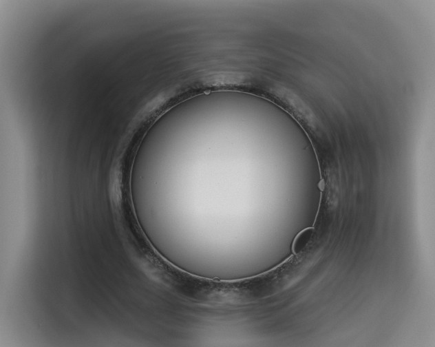 X0000115330631200911091246