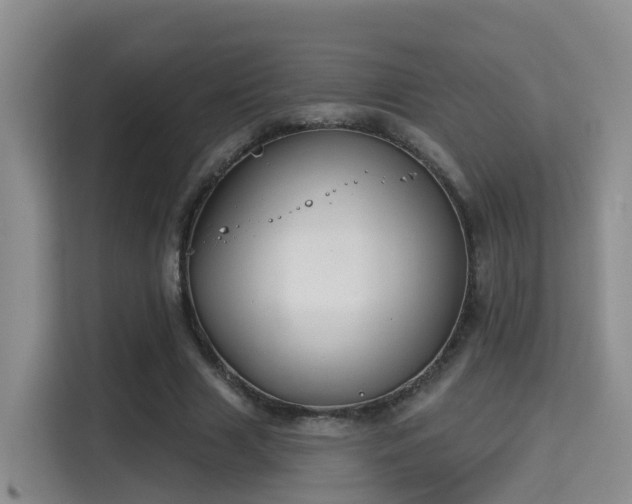 X0000115330633200911091246