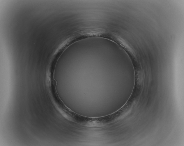 X0000115330634200911091246