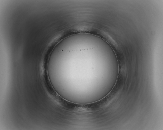 X0000115330635200911091246