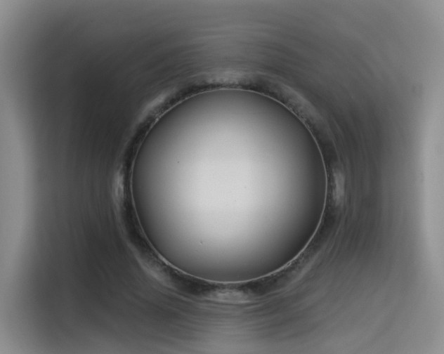 X0000115330636200911091246