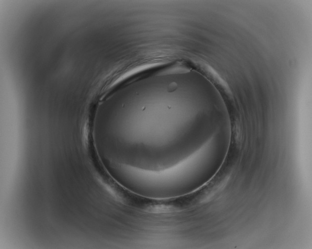 X0000115330637200911091246