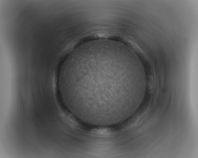 X0000115330639200911091246