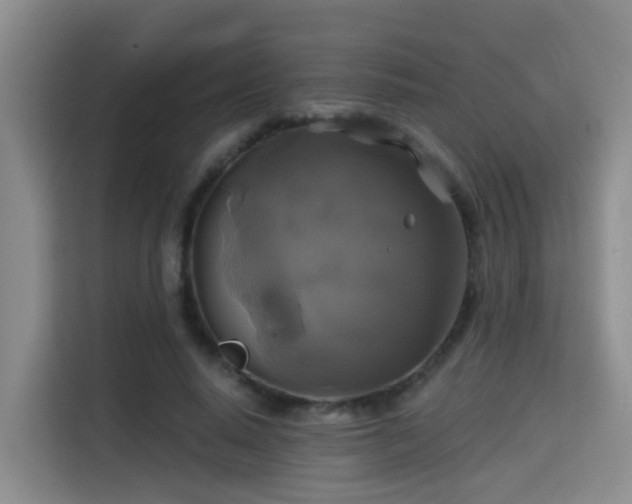 X0000115330640200911091246