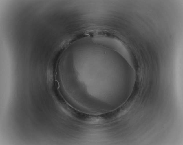 X0000115330642200911091246