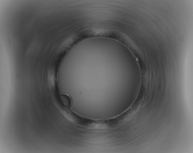 X0000115330644200911091246