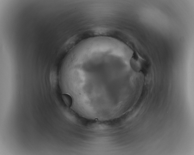 X0000115330648200911091246