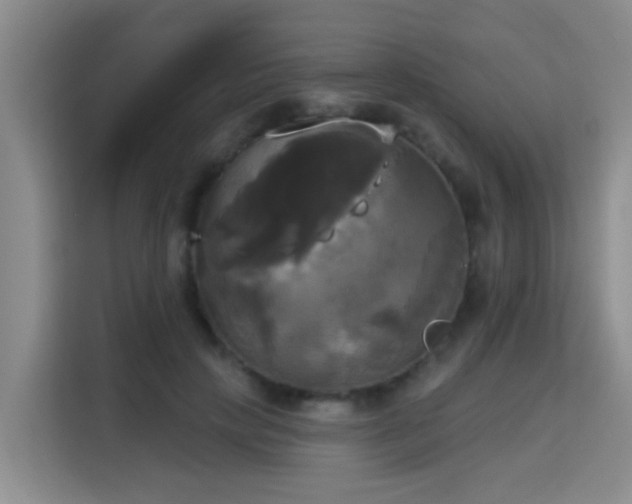 X0000115330649200911091246