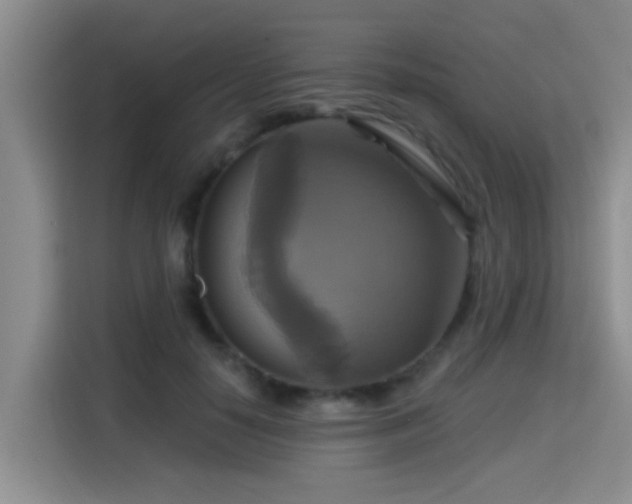 X0000115330650200911091246