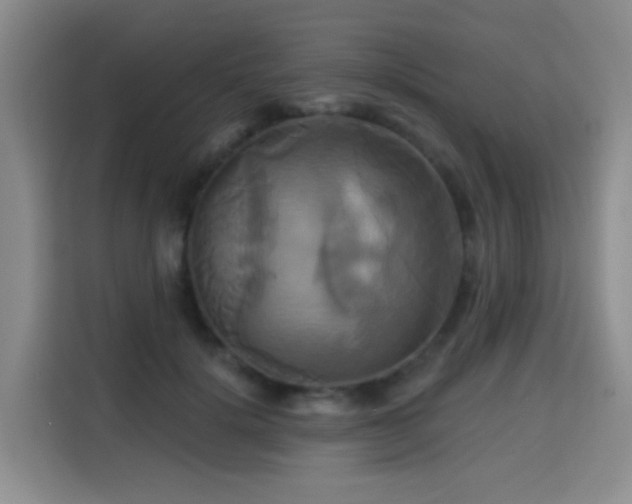 X0000115330652200911091246