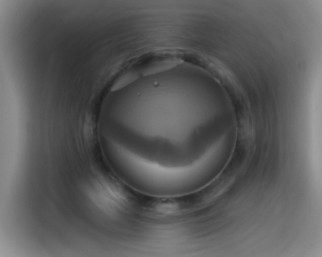 X0000115330653200911091246