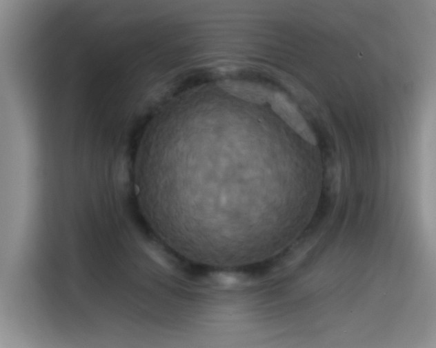 X0000115330654200911091246