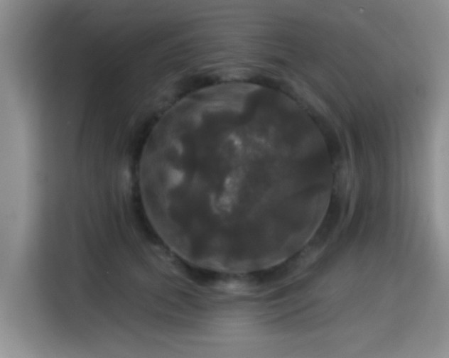 X0000115330655200911091246