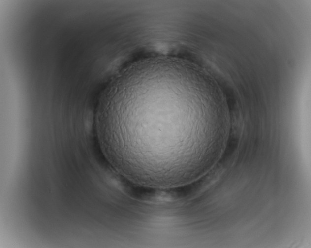 X0000115330656200911091246