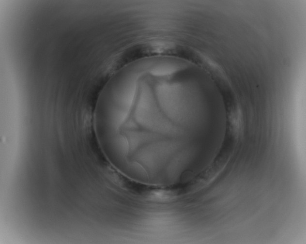 X0000115330657200911091246