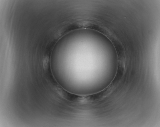 X0000115330660200911091246