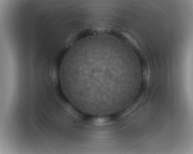 X0000115330662200911091246