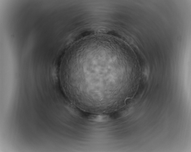 X0000115330663200911091246