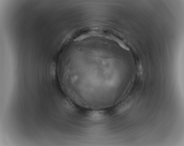 X0000115330664200911091246